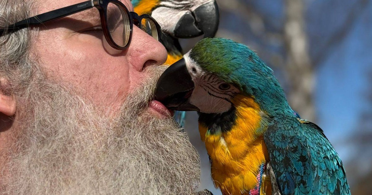 Proč vznikl Život s papoušky